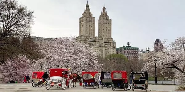 Central Park Pedicab Tours Groupon